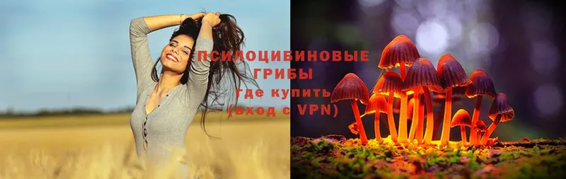 Псилоцибиновые грибы Magic Shrooms  где купить   Абаза 